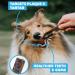 SKIPPER'S Wolf Fish Skin Flatties - Air Dried Grain Free Dog Treats Healthy & Long Lasting Natural Dog Dental Chews High in Protein with Essential Omega 3 & 6 Oils | Great for Teeth Regular (250g) 250 g (Pack of 1) Regular - Buy Online on GoSupps.com
