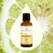 Buy 100% Pure Bergamot Essential Oil - Natural & Therapeutic Grade 30 mL - Plant Therapy - Fast International Shipping - Buy Online on GoSupps.com