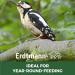 Erdtmann Fat Balls for Wild Birds - Pack of 50 Suet Balls - High-Energy Garden Treat for Wild Birds - Un-Netted Perfect Consistency Ideal for Year-Round Feeding and Easy Food Intake 1 count (Pack of 50) - Buy Online on GoSupps.com