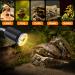LEDBOCLI 50W UVB Heat Light Bulbs for Aquariums & Reptiles - E27 Clip Lamp for Lizards Turtles & Snakes - Buy Online on GoSupps.com