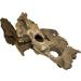 Awesome Aquatic Natural Medium Holey Driftwood 7 - 12 Nano Fish Aquarium Shrimp Tank Terrarium Reptile Branch & Log Habitat Wood Decoration Arts & Crafts Decor (Med Holey 7-12 inch) - Buy Online on GoSupps.com