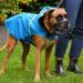 Bella & Balu Waterproof Dog Coat with Hood & Reflectors - XS Gray | Safe & Dry Walks for Your Dog - Buy Online on GoSupps.com