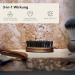 St rtebekker Premium Beard Brush - Made in Germany | Sustainable Bionifil Bristles | Prevents Itching & Shapes Your Beard | Nussbaumholz - Klein Size - Buy Online on GoSupps.com