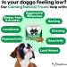 NutriPaw Calming Treats For Dogs - Reduce Stress Fear Separation Anxiety Barking Hyperactivity Reactivity Aggression Travel Issues - Relaxation without Drowsiness dogs Single Pack - Buy Online on GoSupps.com