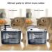 Petory Cat Water Fountain - Automatic 2.2L Pet Water Dispenser with Filters | BPA-Free Grey Fountain for Cats | 2 Flow Modes - Buy Online on GoSupps.com