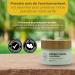 OZONO D'OR - Anti-blemish night cream for the face with organic ozone. 100% natural eliminates rosacea | Face moisturizer | Skincare certificate - Buy Online on GoSupps.com