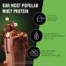 ESN Vegan Designer Protein Powder Hazelnut Nougat 2 x 910 g Can + Free Shaker - Muscle Building and Recovery Hazelnut Nougat 910 g (Package of 2) - Buy Online on GoSupps.com