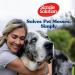 Simple Solution True Fit XXL Dog Diapers for Bitches - Super Absorbent 30 Pack (Waist 55.9 94 cm) - International Shipping Available - Buy Online on GoSupps.com