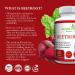Organic Beet Root Powder Capsules - Nitric Oxide Booster - 60CT | Simple Life Nutrition - Buy Online on GoSupps.com