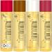 Burt's Bees Festive Fix Lip Balm Set - Peppermint, Salted Caramel, Cranberry Spritz, Shortbread Cookie (4 Pack) - Buy Online on GoSupps.com