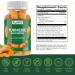 Curcumin Turmeric Gummies Extra Strength 2000mg 8:1 Extract Turmeric Supplement Gummies with Black Pepper & Ginger Vegan Non-GMO Joint Support Chewables Peach Flavor 60 Count 60 Count (Pack of 1) - Buy Online on GoSupps.com