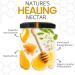 Bee HURO Honey Raw Acacia Honey - 100% Pure Honey Raw Unpasteurized with No Added Sugar or Preservatives - 340g - Buy Online on GoSupps.com