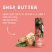 Orientana Coconut Sweet Lip Balm | Vegan Bio 98% | Moisturizing Lip Care with Shea Butter & Vitamin E | Natural Cosmetics for Dry Lips - 4.2g - Buy Online on GoSupps.com