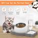 Elevated Tilted Cat Food and Water Bowl Set with Automatic Dispenser - Grey-Stainless Steel - Buy Online on GoSupps.com