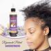 Rejuvenate Potent Jamaican Black Castor Oil Scalp Treatment for Thinning Hair & Edges - Buy Online on GoSupps.com