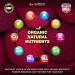 healblend Organic Nitric Oxide Beet Root Capsules 1300mg - Immune Support & Nitric Oxide Booster - 120 Count - International Shipping Available - Buy Online on GoSupps.com