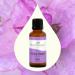 Buy Plant Therapy Clary Sage Essential Oil 100% Pure - Natural Aromatherapy Therapeutic Grade 30 mL for International Shipping - Buy Online on GoSupps.com