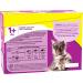 Whiskas Meat and Fish Fresh Sachets in Sauce for Cats | Premium International Shipping - Buy Online on GoSupps.com