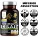 Pure Himalayan Shilajit Supplement for Men and Women, 40,000MG, Max Strength Contains 50% Fulvic Acid with Over 85 Trace Minerals to Support Energy, Brain and Immunity, 120 Veg Caps - Buy Online on GoSupps.com