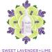 Buy Sapadilla Sweet Lavender + Lime Biodegradable Hand Soap - 12oz Pump | Eco-Friendly Clean - Buy Online on GoSupps.com