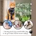 Buy Suitical Recovery Suit for Cats - Size S Black Camouflage | International Shipping Available - Buy Online on GoSupps.com