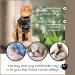 Buy Suitical Recovery Suit for Cats - XS Black Camouflage | International Shipping Available - Buy Online on GoSupps.com