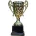 Express Medals Trophy Cups - Various Styles for Award Winners and Champions - Buy Online on GoSupps.com