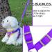 Rennaio No Pull Dog Harness & Adjustable Puppy Dishes Set - Ultra Comfortable Leash for Small & Medium Dogs (Purple Size S) - Buy Online on GoSupps.com