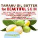 Botanical Beauty TAMANU OIL BUTTER RAW 100% Pure Natural VIRGIN UNREFINED Cold-Pressed Carrier for Face Skin Body Hair Lip Nails. Rich in Vitamin E (4 Fl Oz) 4 Fl Oz (Pack of 1) - Buy Online on GoSupps.com