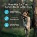 Blue Buffalo Wilderness More Meat & Wholesome Grains Natural Dry Dog Food Large Breed Salmon 24lb Large Breed Salmon More Meat Wholesome Grains - Buy Online on GoSupps.com