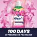 Comfort Creations Honeysuckle & Sandalwood Fabric Conditioner with Stay Fresh technology for 100 days of freshness + fragrance* 30 Wash 900 ml - Buy Online on GoSupps.com