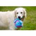 Petface Hetty the Helicopter Plush Dog Toy - Fun Vehicle Design for Playtime - Buy Online on GoSupps.com