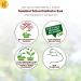 Solabiol Schachtelhalm Sud - Biological Plant Strengthener for Mushrooms | 1L Eco-Friendly Solution - Buy Online on GoSupps.com