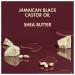SheaMoisture Jamaican Black Castor Oil Shampoo 13 fl oz - Strengthen & Restore Hair - Buy Online on GoSupps.com