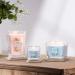 Yankee Candle Glass Wax Jasmine & Pomelo Candle - Square Vessel D cor - Buy Online on GoSupps.com