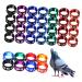 FRCOLOR 50 Pcs bird ring ring aluminum Pigeon Supplies split bird leg rings Parrot tool bird ankle ring identification ring bird leg band Closed ring quail poultry Split pigeon bands
