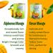 ASHOKA Mango Pulp Kesar 1 x 850 g - Buy Online on GoSupps.com