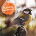 Ida Plus Wheat-Free Bird Lodge - High-Fat Energy-Rich Wild Bird Feed (1.5 kg) for Year-Round Nutrition - Buy Online on GoSupps.com