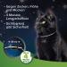 Beaphar Tick & Flea Protection Collar for Cats - 4 Months Repellent Rainproof Reflective - 35 cm Silver/Black - Optimal International Shipping - Buy Online on GoSupps.com