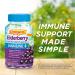 Emergen-C Elderberry Immune Gummies - 45 Count for Boosted Immunity - Buy Online on GoSupps.com