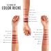 L'Oreal Paris Colour Riche Lipstick - Ginger Chocolate (274) | 1 Count Pack - Long-Lasting Lip Color - Buy Online on GoSupps.com