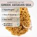 Jordan Benedict Natural Sea Sponge - XXL for Bath and Shower - Pack of 1 - Buy Online on GoSupps.com