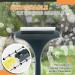 Multifunctional Screen Brush Household Tool Double-Sided Window Glass Cleaner Plastic Clean Screen Window Dust Cleaning Tool - Buy Online on GoSupps.com