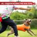 PetGeek SkipDawg Flyer Dog Toy - Interactive Floating Disc for Outdoor Play & Exercise in Green - Buy Online on GoSupps.com