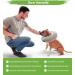 Shop MC-Royal Premium Inflatable Dog & Cat Collar - Size S | Reliable Protection Comfort & Leakage Prevention - Buy Online on GoSupps.com
