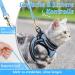 Rabbitgoo Cat Dishes Set Premium Cat Linen with Leash | Ideal for Stylish Feline Dining - Buy Online on GoSupps.com