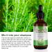 60ml Rosemary Mint Scalp & Hair Strengthening Oil Rosemary Oil Infused w/Biotin Encourage Hair Growth for Scalp Treatment Split End Care Skin Care and Daily Use for Women Men (ALV Green) - Buy Online on GoSupps.com
