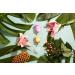 Shop Lumma Flexible Medical Silicone Menstrual Cups - Reusable Leak-Proof & Comfortable | Pink Love | International Shipping - Buy Online on GoSupps.com