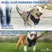 Dog Harness (Medium Black) for Running Hiking & Training Soft-Padded & Adjustable No-Pull Design Pet Harness W/ 2 Leash Clips & Reflective Strips for Safety by EcoEarth M (Pack of 1) - Buy Online on GoSupps.com