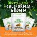 Organic Unsalted Walnuts 2 Pack (2LBS/16oz bags) | Raw Halves & Pieces for Snacking, Baking, Topping | Non-GMO, No Preservatives - Buy Online on GoSupps.com